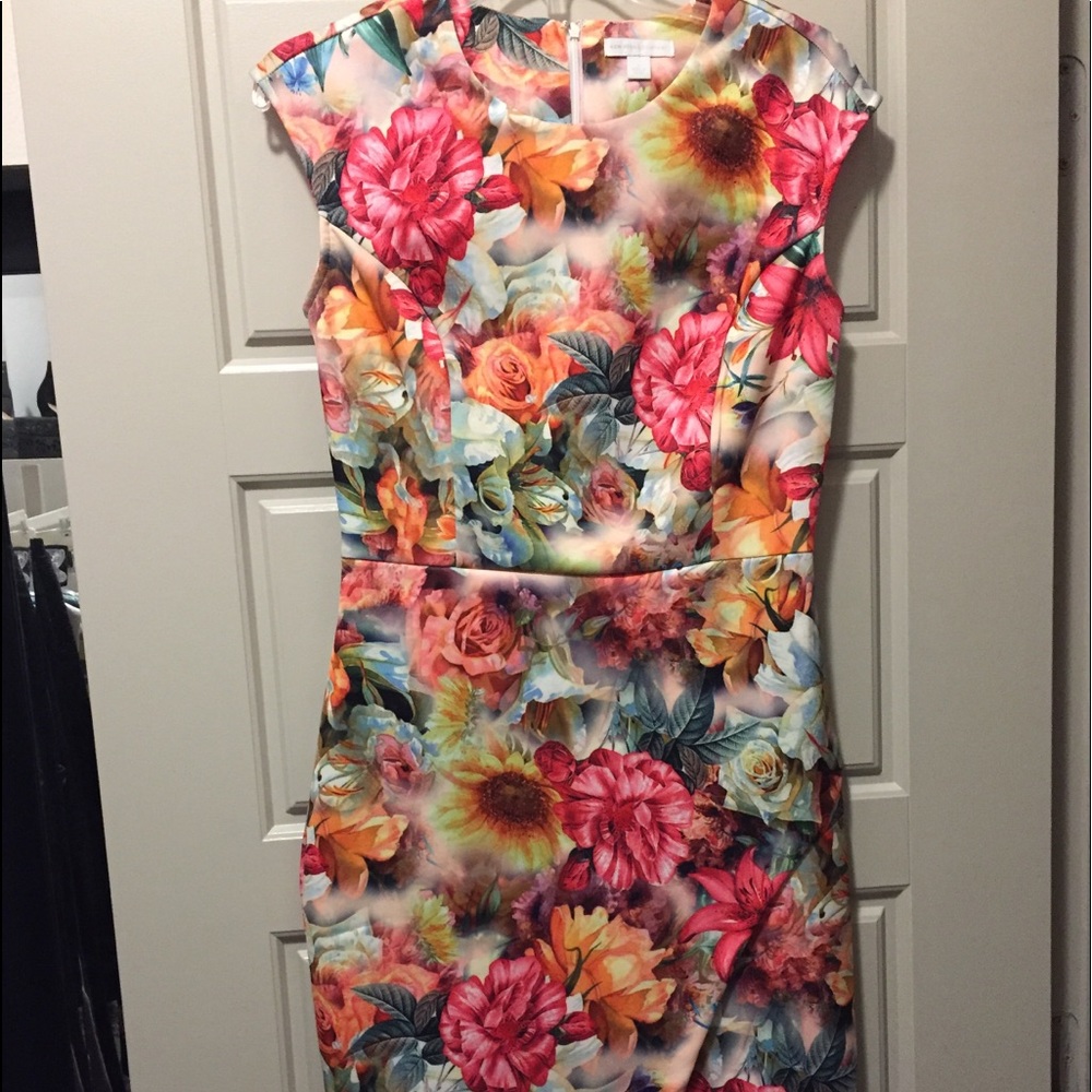 New York & Co knee length dress